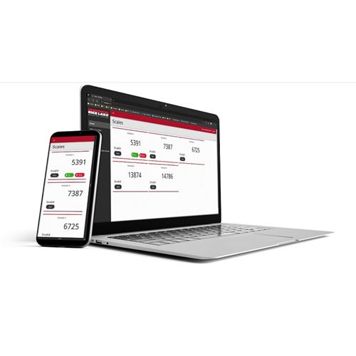 RL Web Display Remote Scale Monitoring Software