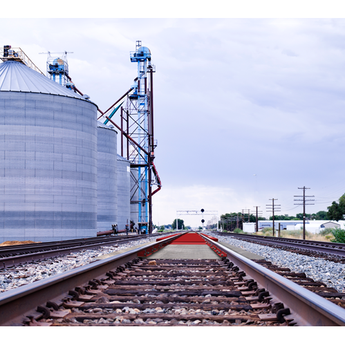 SURVIVOR® PL Low Profile Rail Scale