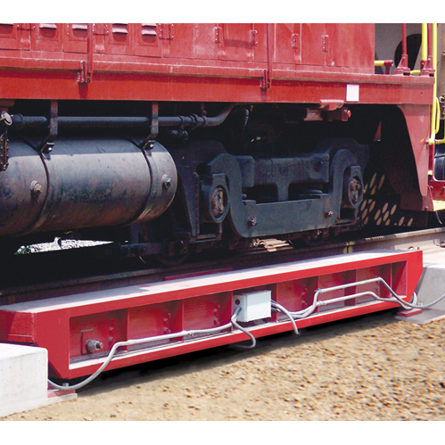 SURVIVOR® PL Low Profile Rail Scale