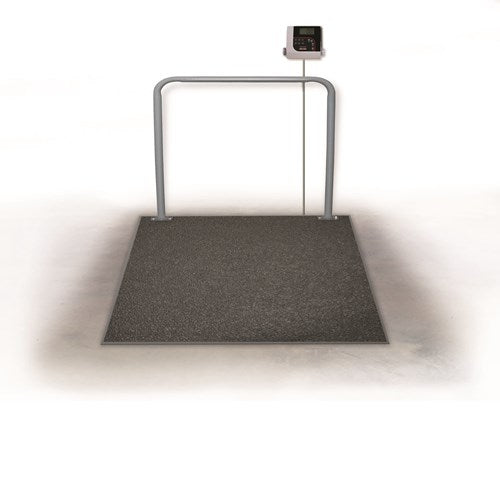 Rice Lake VS-37 In Floor Large Animal Scale