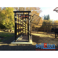 Load image into Gallery viewer, SellEton SL-929 Livestock &amp; Cattle Alleyway Scale 5000 lbs x 1 lb