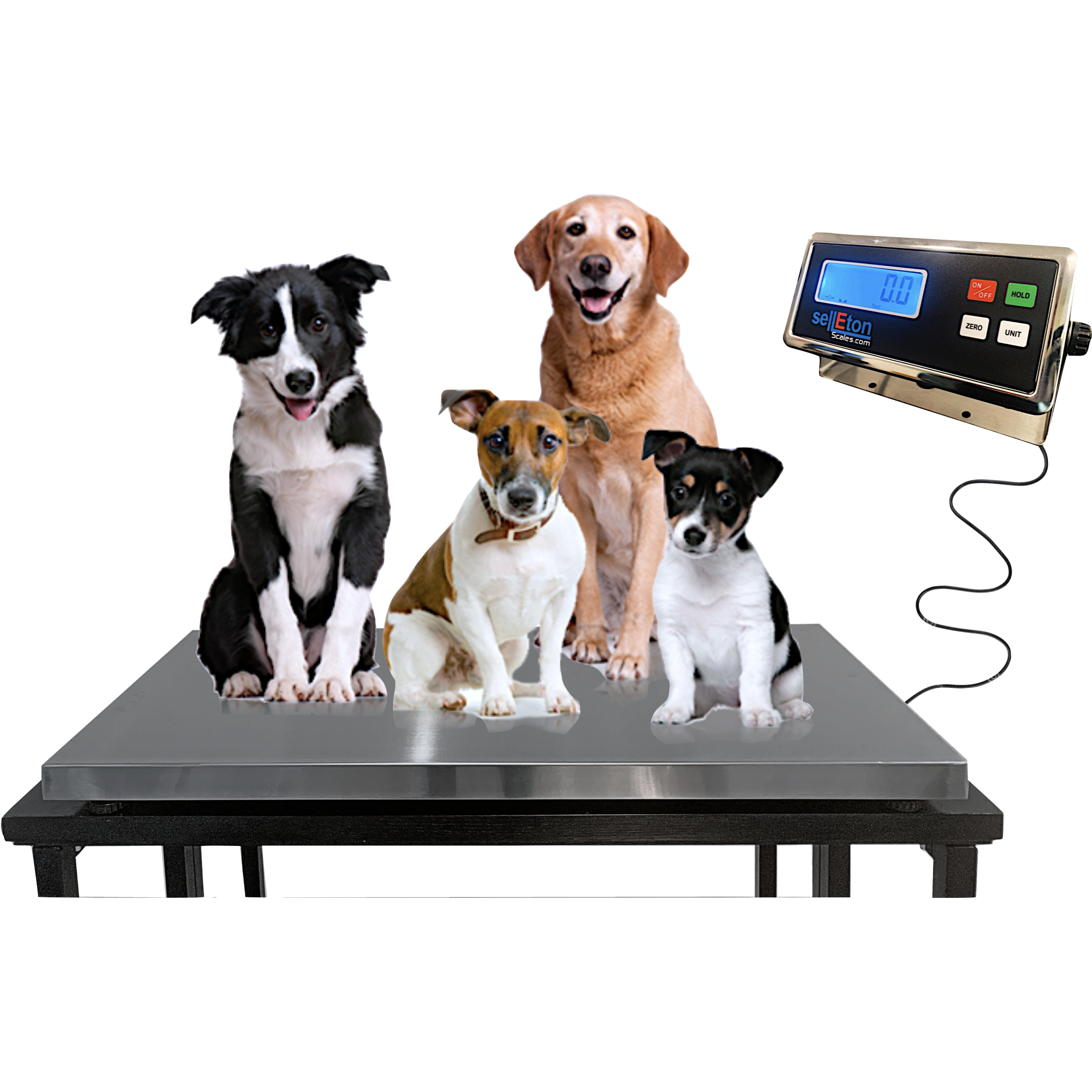 Mobile Veterinary Scales