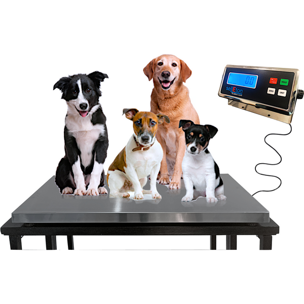 Livestock & Animal Scales
