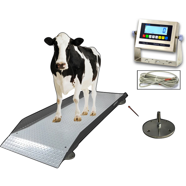 Cattle & Alleyway Scales