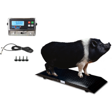 Load image into Gallery viewer, SL-920-2k Industrial portable floor Scale for Small Animals up to 2000 lbs