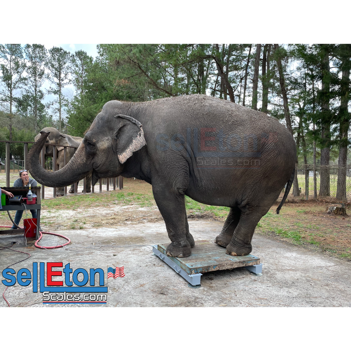 SellEton SL-919-HD Heavy Duty Weigh Beam, bar System up to 20,000 lb Capacity Available!
