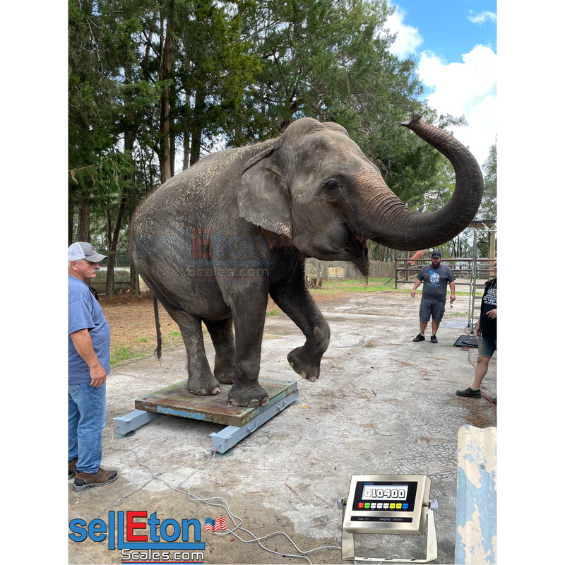 SellEton SL-919-HD Heavy Duty Weigh Beam, bar System up to 20,000 lb Capacity Available!